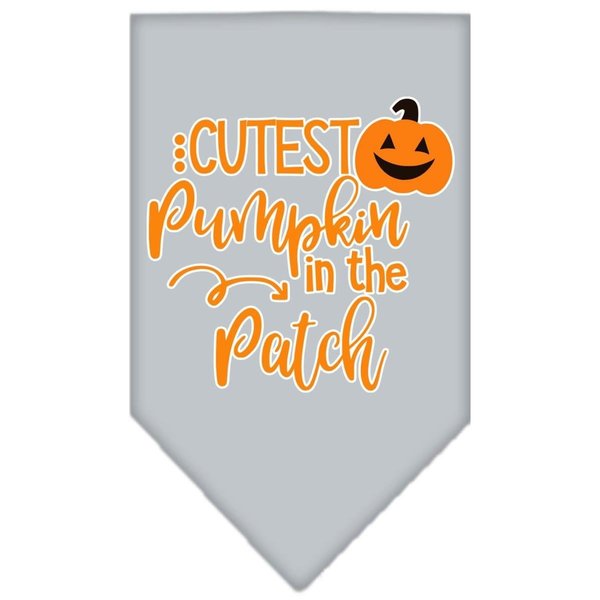 Mirage Pet Products Cutest Pumpkin in the Patch Screen Print BandanaGrey Small 66-426 SMGY